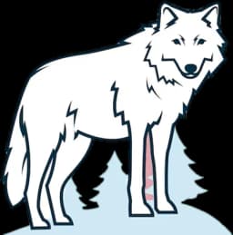Carte Loup Blanc